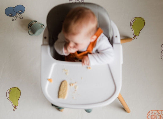 The Solid Starts Feeding Bundle
