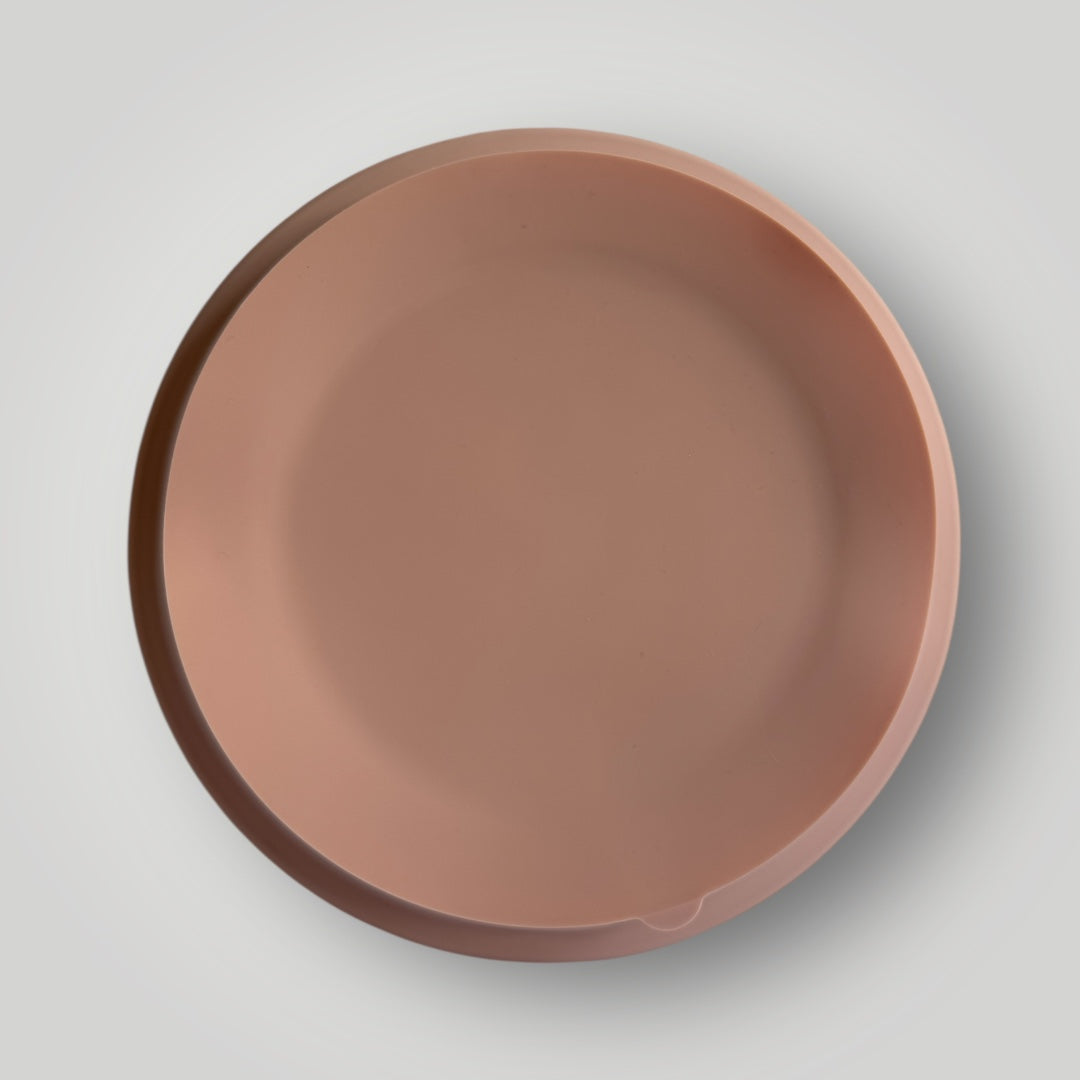The Grip Ease Baby Plate