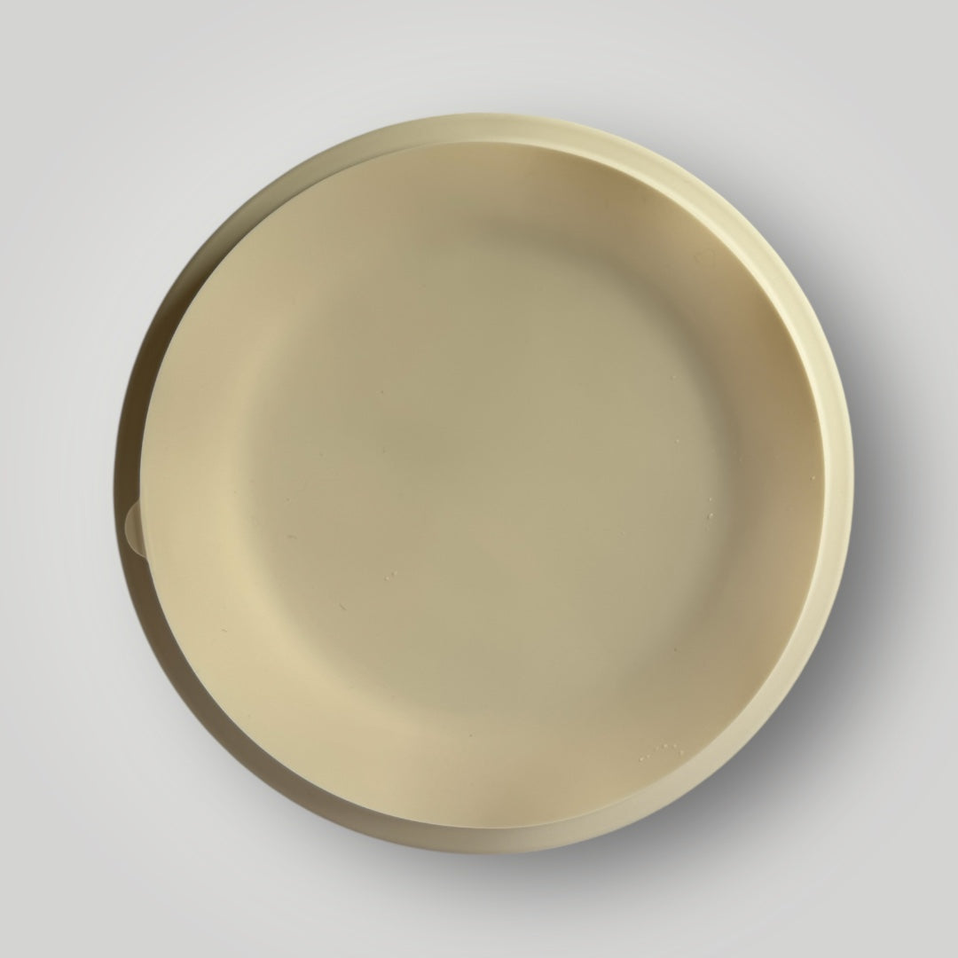The Grip Ease Baby Plate