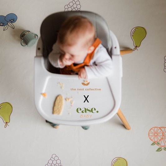 The Solid Starts Premium Feeding Bundle